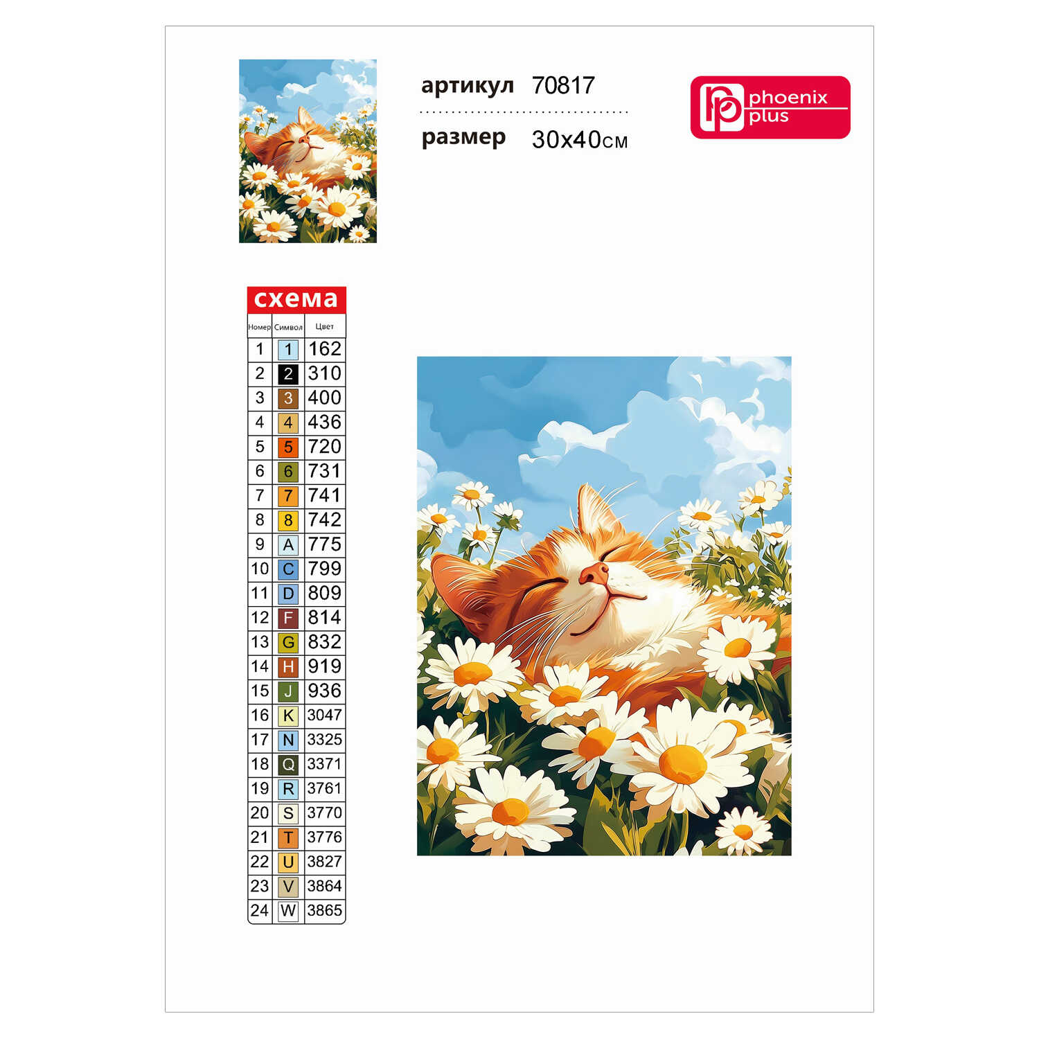 Алмазная мозаика Феникс + - фото 2