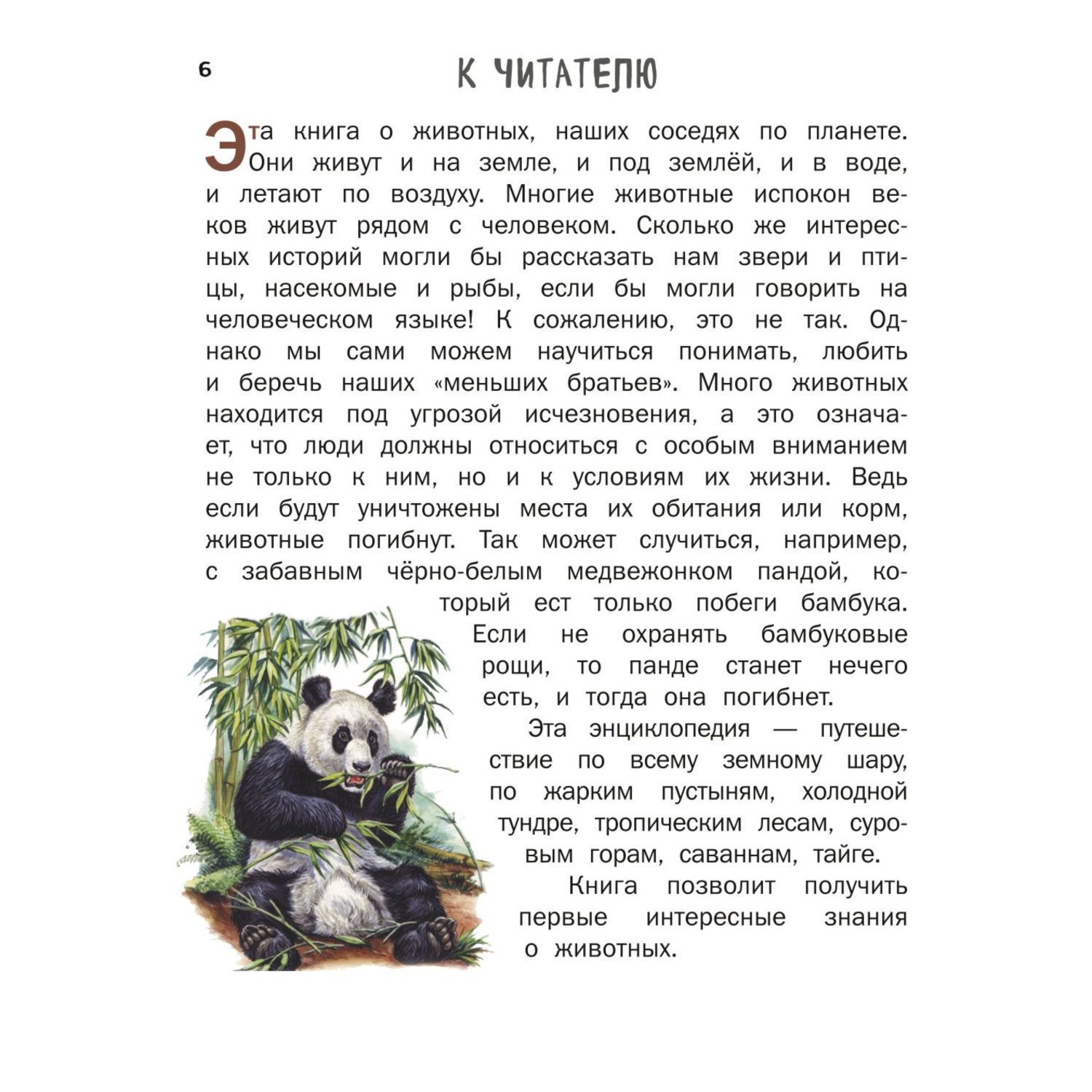 Книга Эксмо Все животные с крупными буквами - фото 4