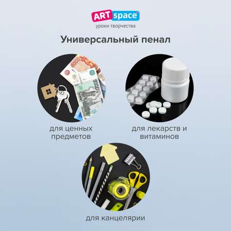 Пенал Спейс
