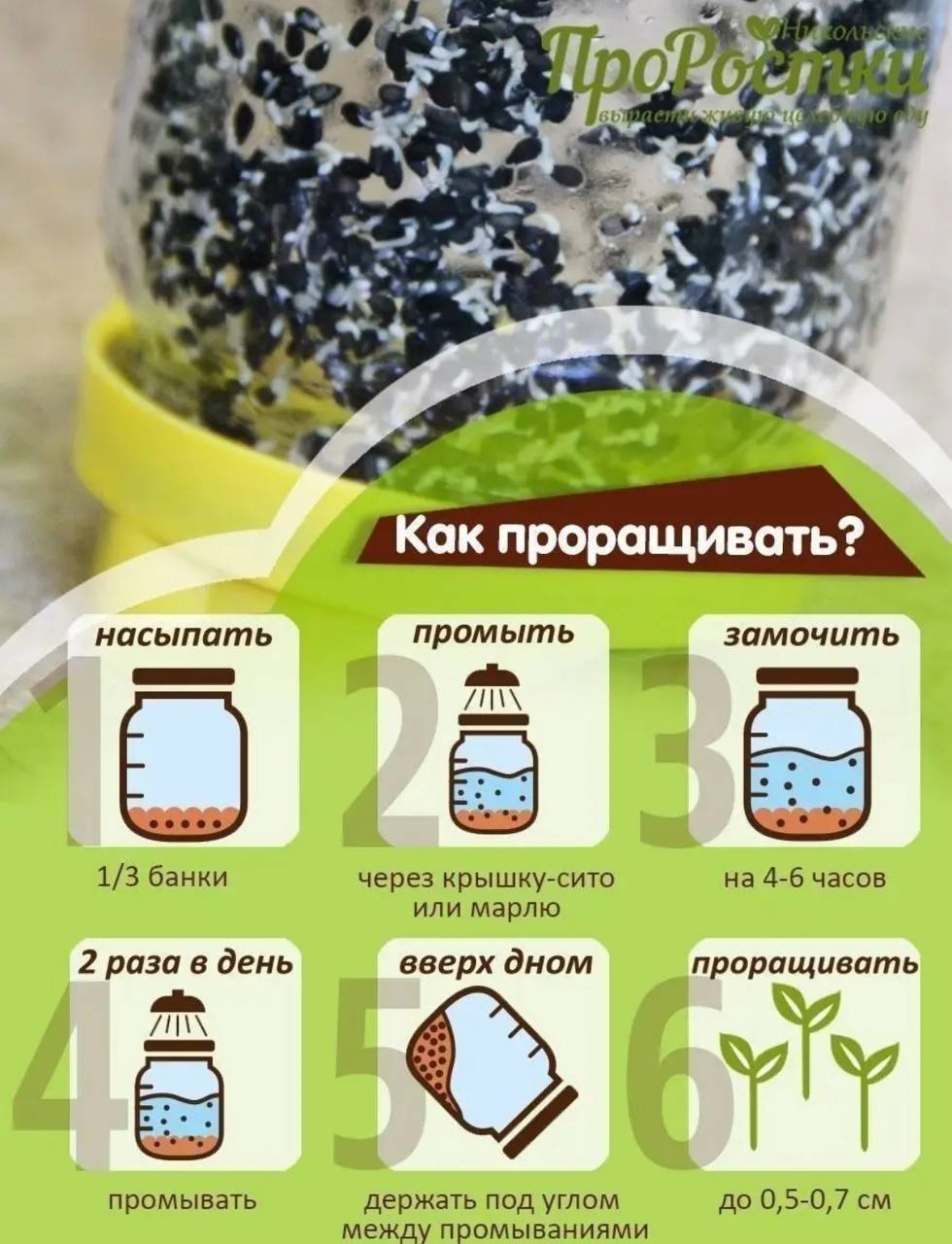 Семена для микрозелени MegaMedia кунжут черный - фото 10