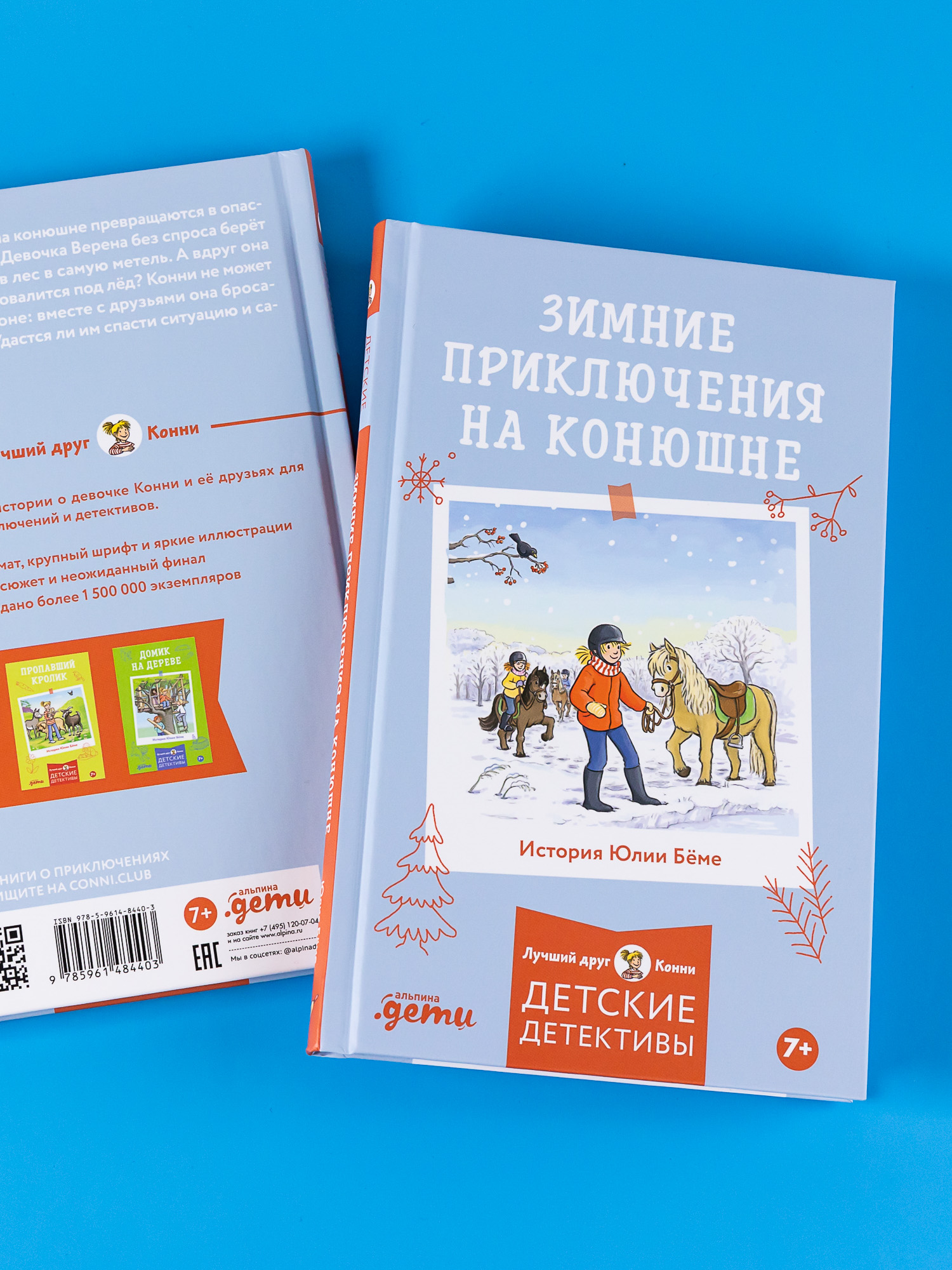 Книга Альпина. Дети Зимние приключения на конюшне - фото 3