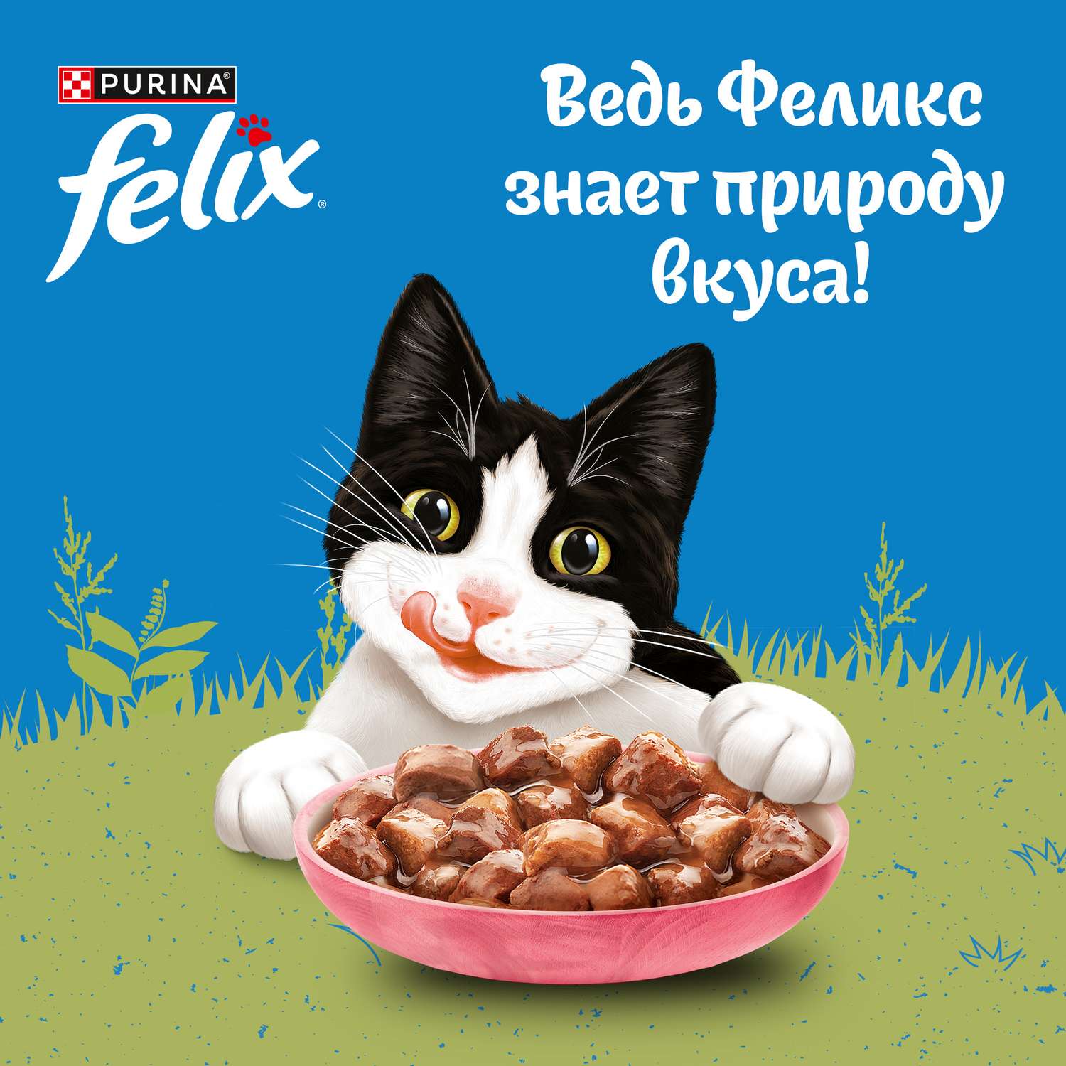 Корм для кошек Felix 75г для взрослых с лососем в соусе - фото 4