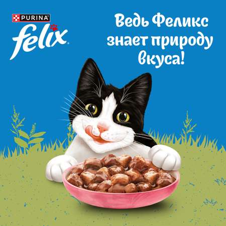 Корм для кошек Felix 75г для взрослых с лососем в соусе