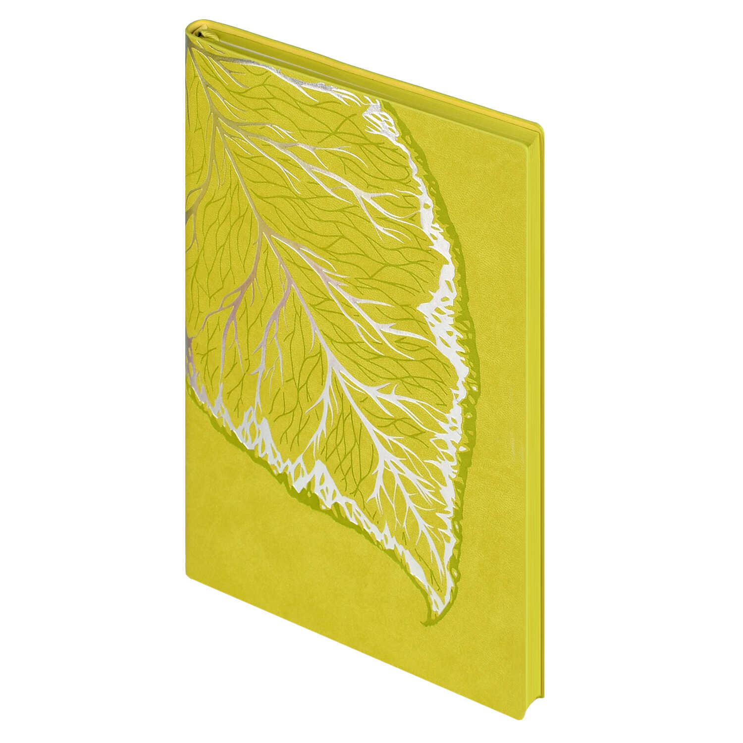 Ежедневник Феникс + ESCALADA 120 лист. - фото 23