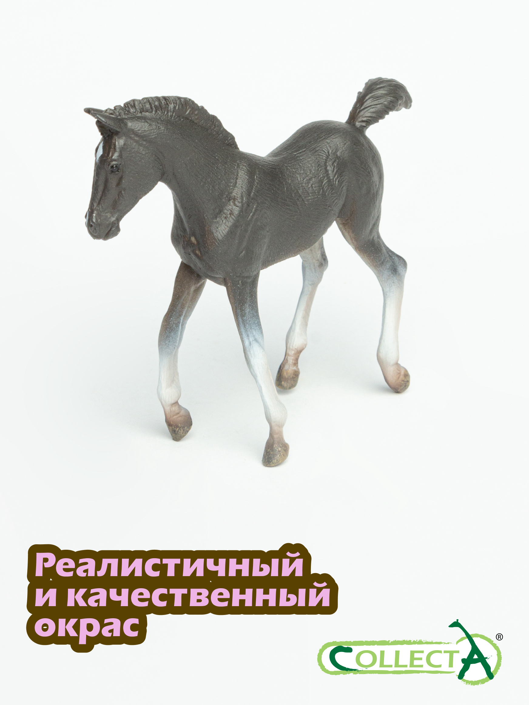 Игровой набор Collecta Жеребёнок Теннессийский чёрный - фото 4