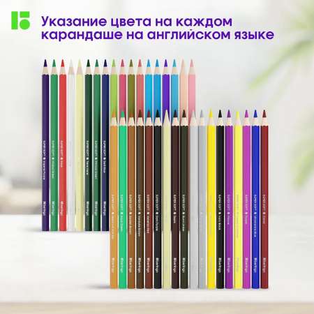 Карандаши цветные BERLINGO 36 шт.