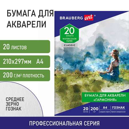Ватман Brauberg 20 лист.