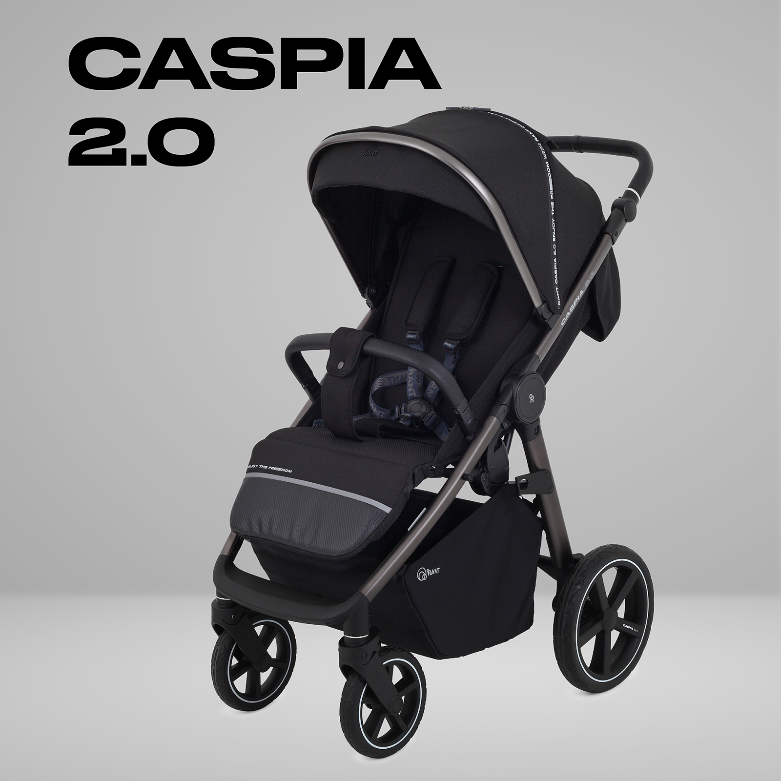 Коляска прогулочная Rant Caspia 2.0 черный - фото 1