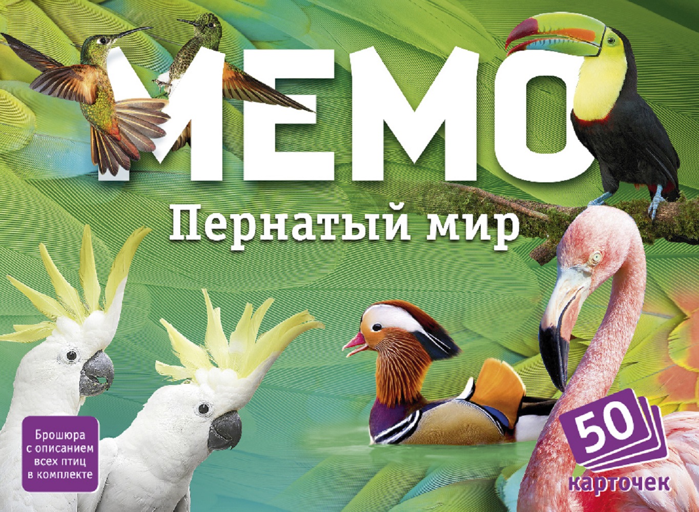 Настольная игра Нескучные игры Пернатый мир - фото 3