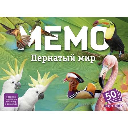 Настольная игра Нескучные игры Пернатый мир