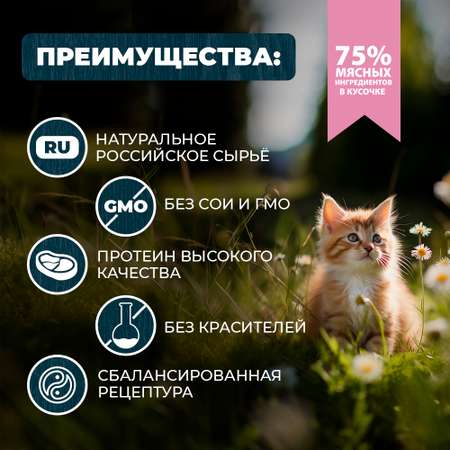 Корм для котят Родные корма По-ростовски курица-потрошки кусочки в соусе 85г