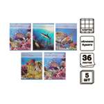 Тетрадь Calligrata клетка