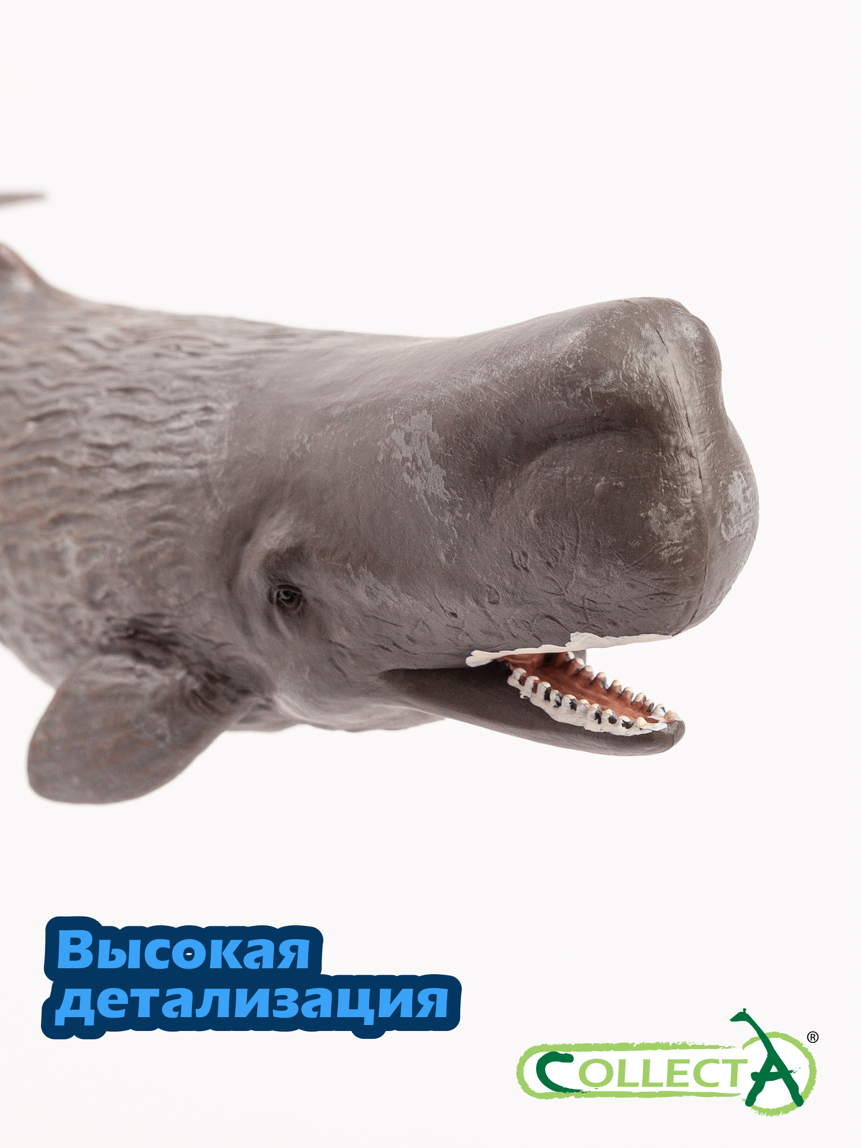 Фигурка Collecta Кашалот - фото 3