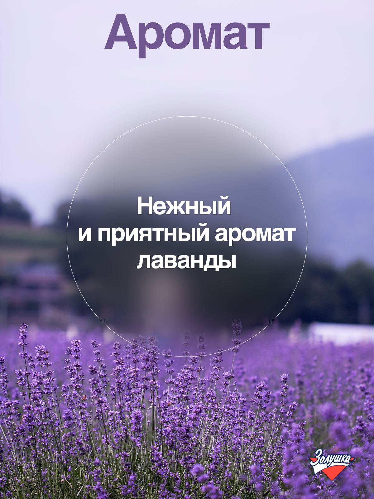 Жидкость для стирки Золушка Мыло хозяйственное 0.75 л 1 шт. 1 упак. - фото 7