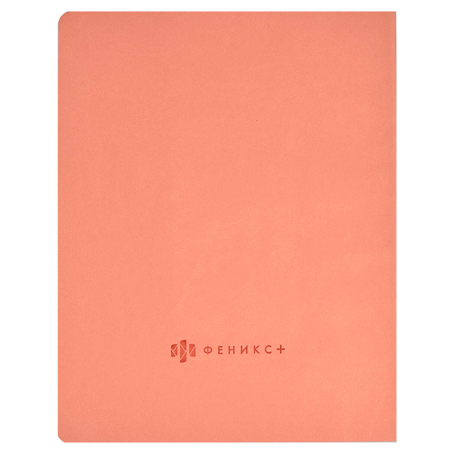 Дневник школьный Феникс + Кеды Эконом - фото 6