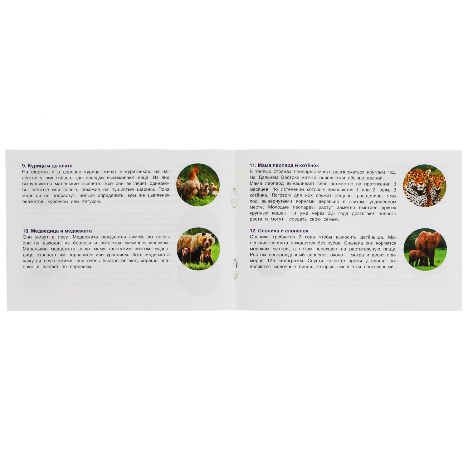 Настольная игра Умные игры Мамы и малыши - фото 4