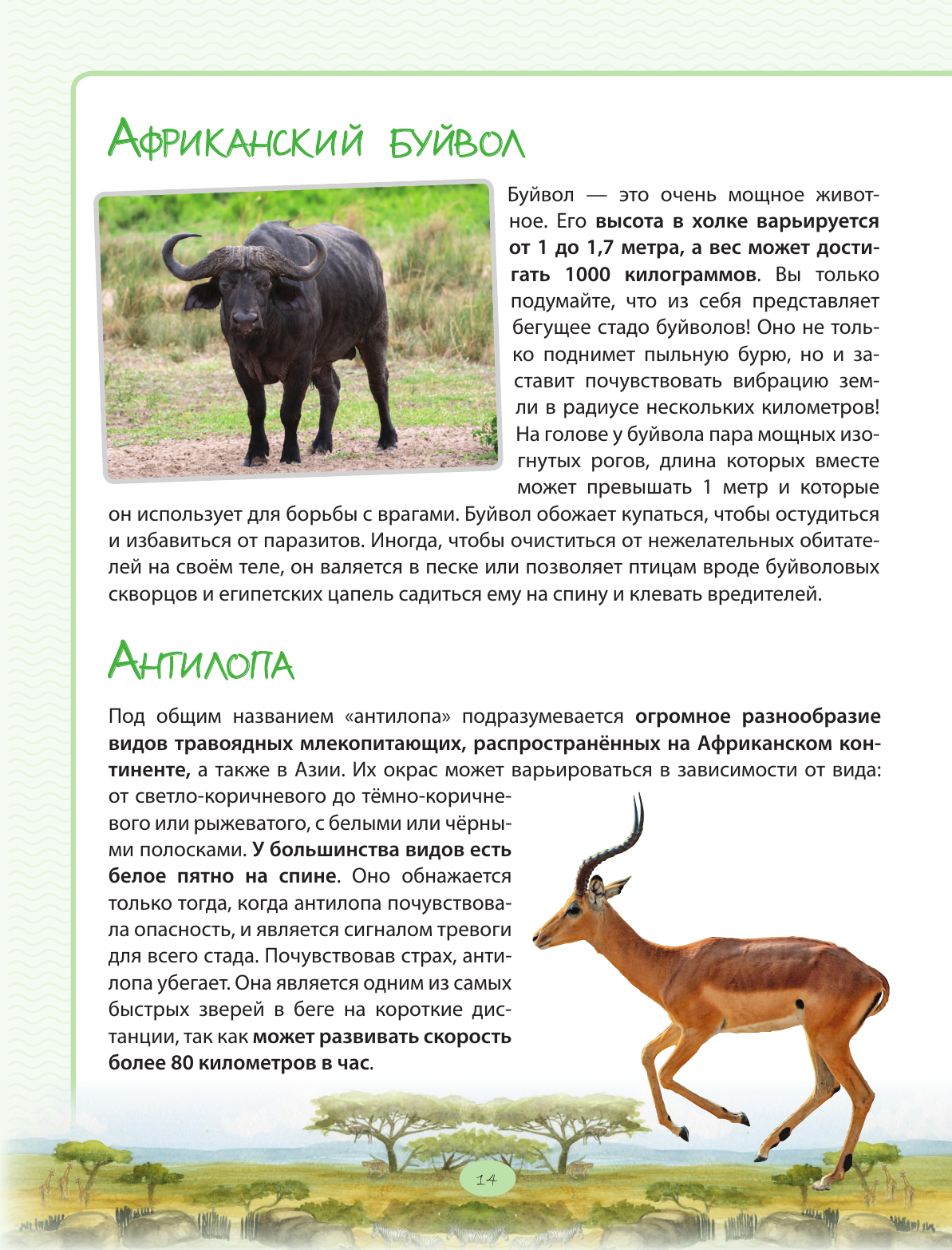 Книга Эксмо Животные Большая экспедиция вокруг света - фото 18