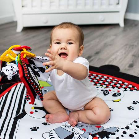 Игрушка Babyono книжка Dream Team в ассортименте