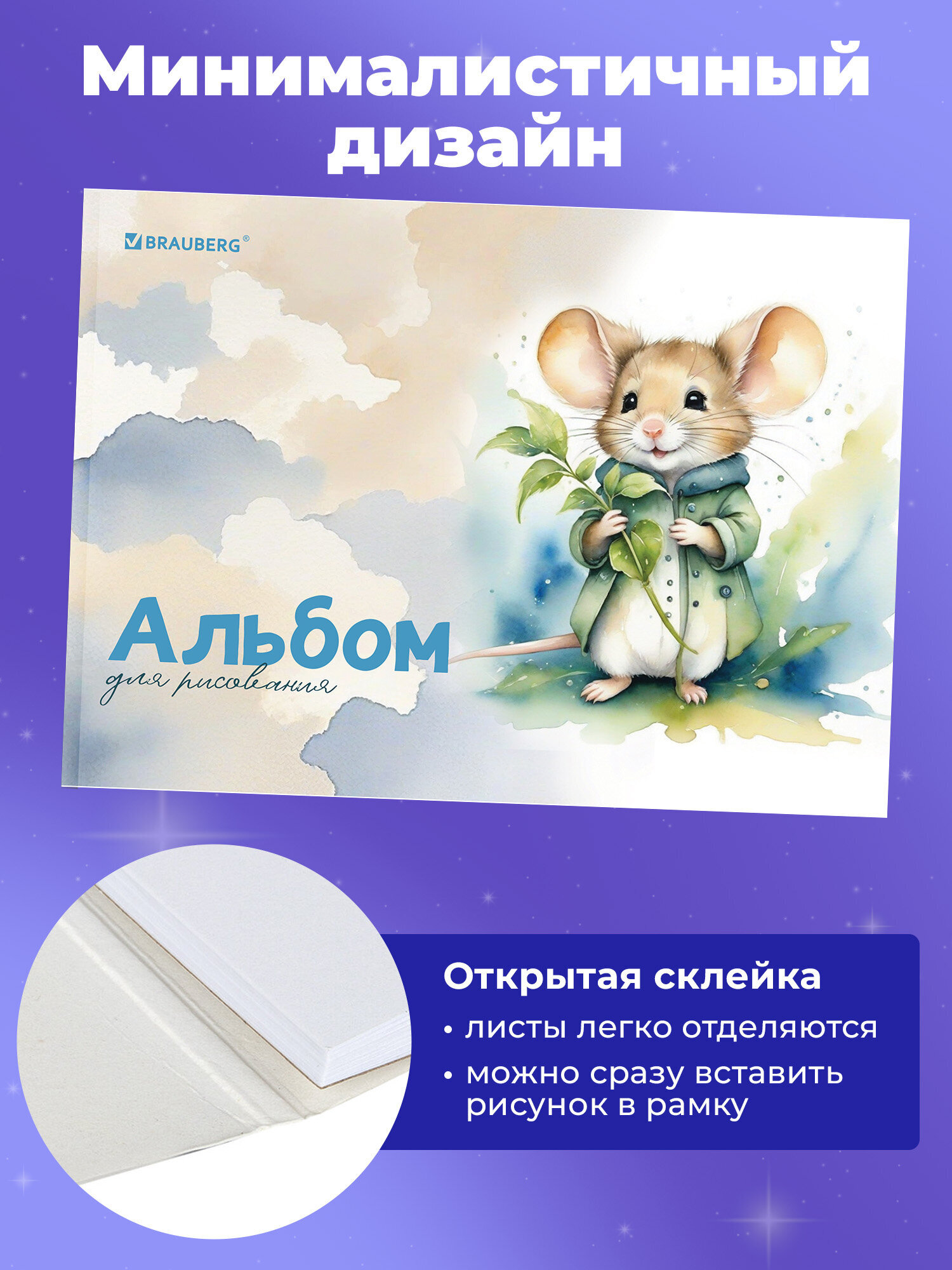 Альбом Brauberg А4 40 лист. 2 шт. - фото 2