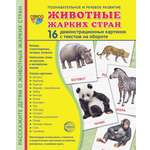 Карточки ТЦ Сфера Животные жарких стран