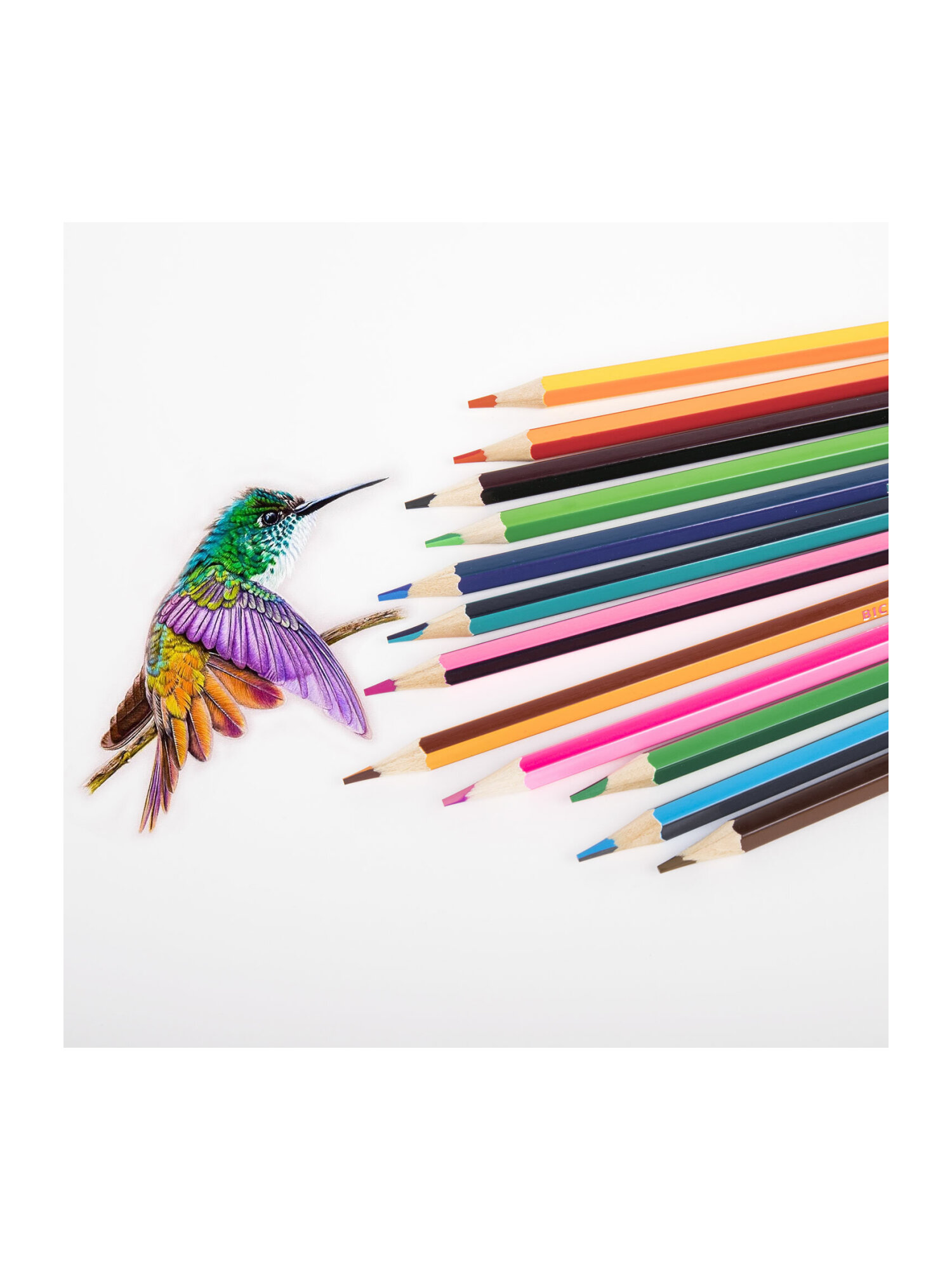 Карандаши цветные Brauberg 24 шт. - фото 14