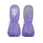 Варежки ARCTICMAGIC