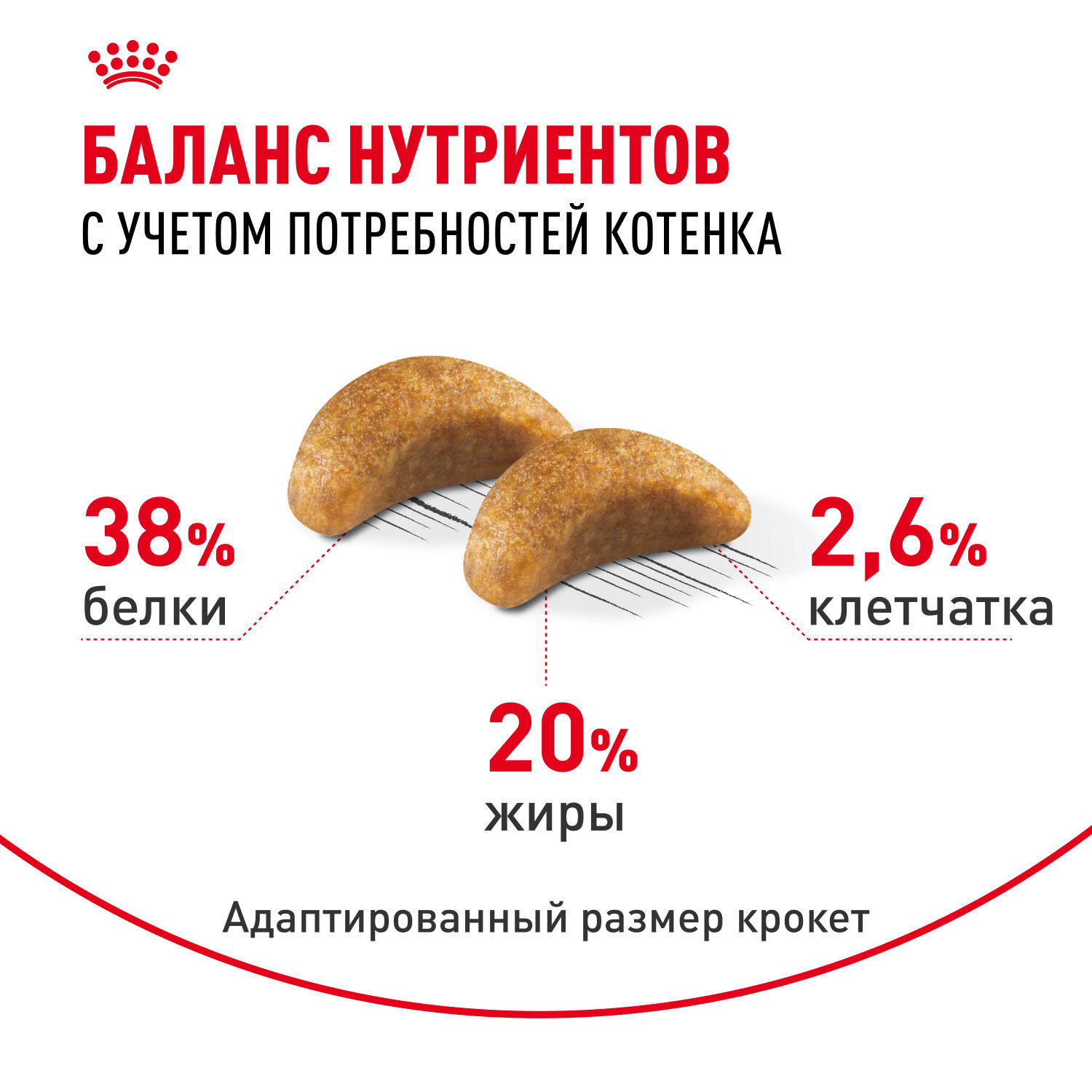 Корм сухой для котят ROYAL CANIN British Shorthair 400г породы британской короткошерстной - фото 4