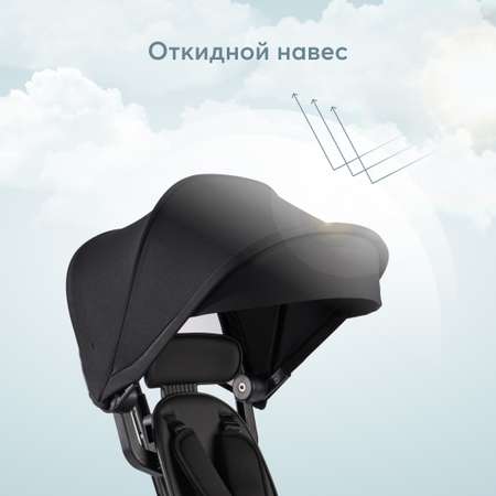 Трехколесный велосипед Happy Baby