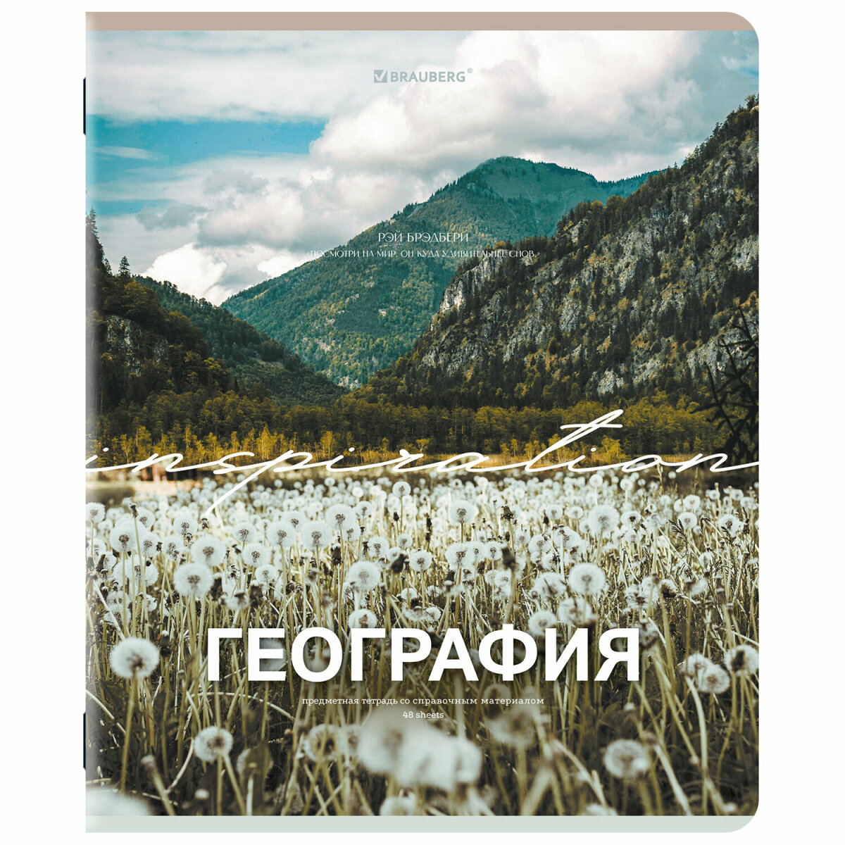Тетрадь Brauberg 48 лист. 13 шт. - фото 10