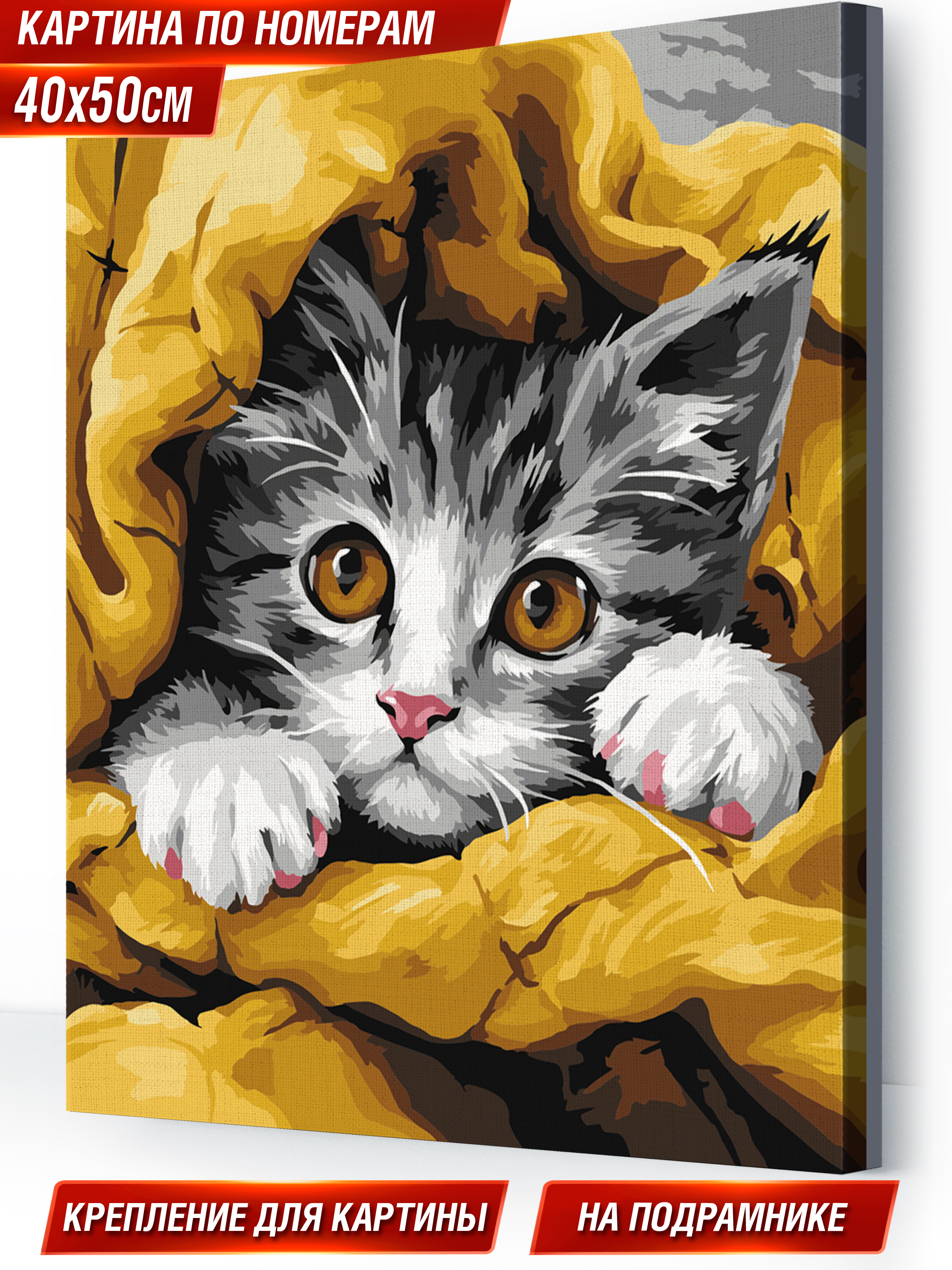 Картина по номерам Hobby Paint Котёнок в ассортименте - фото 1
