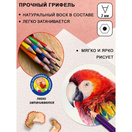 Карандаши цветные ACMELIAE 12 шт.
