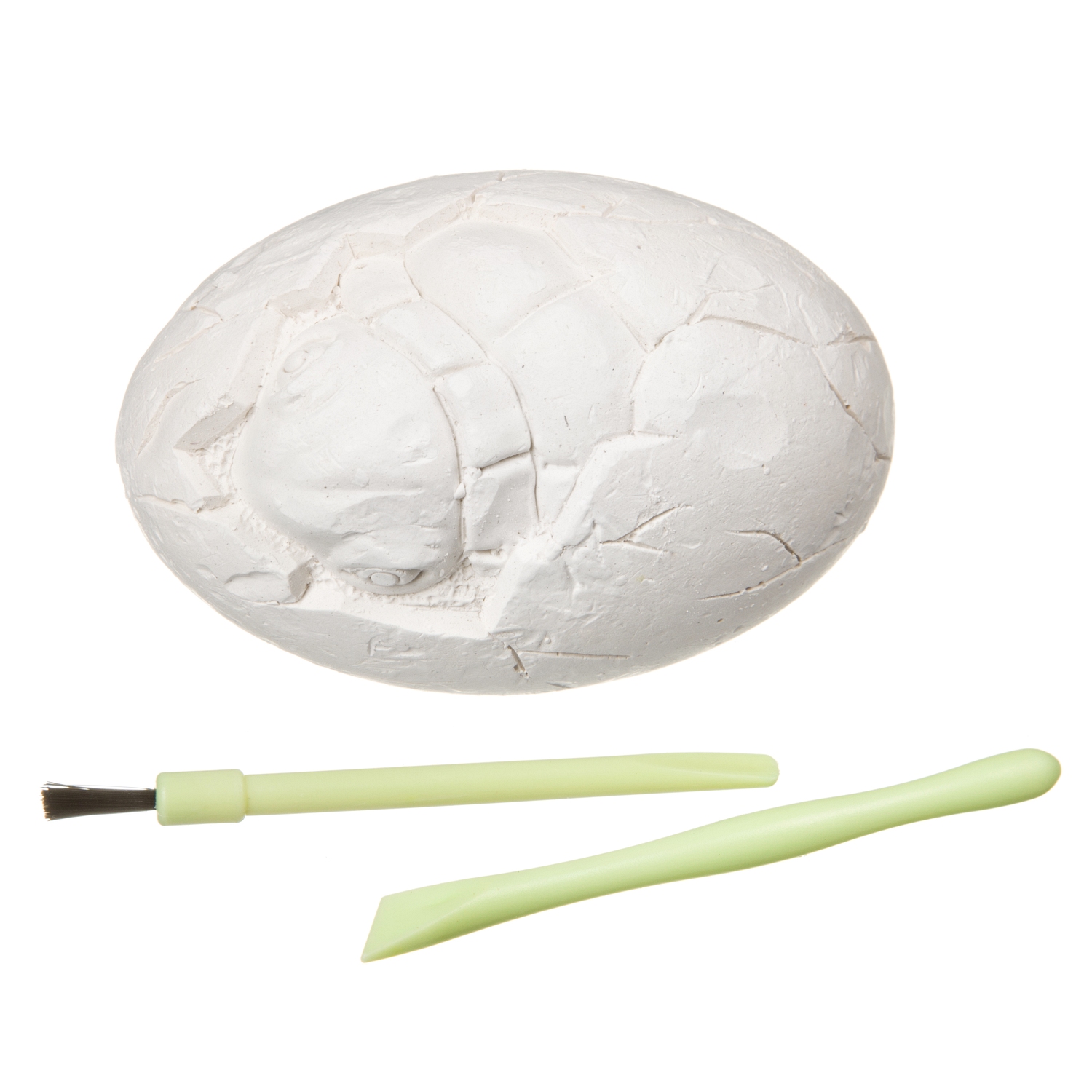 Набор для раскопок Bondibon палеонтология: Яйцо черепахи - фото 5