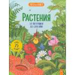 Книга Лабиринт Растения. От петрушки до секвойи