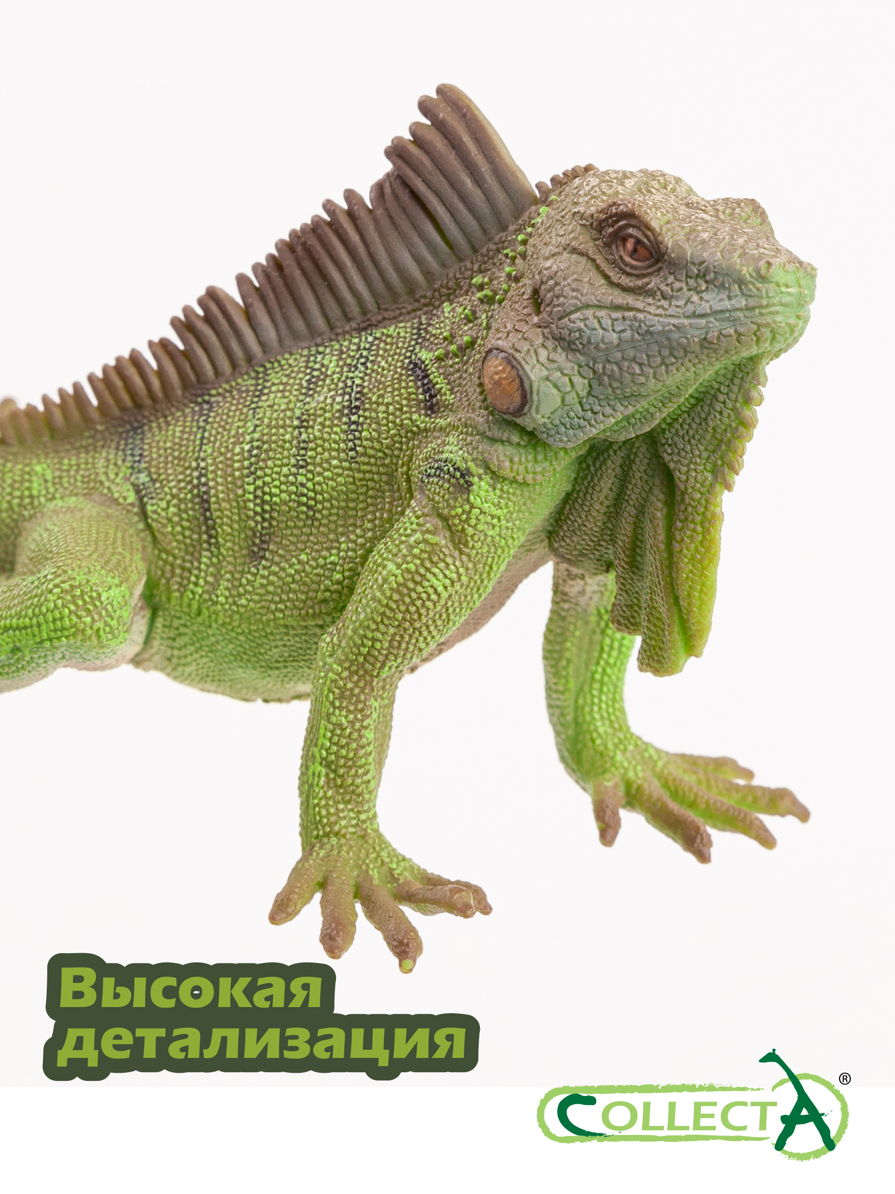 Фигурка Collecta Игуана - фото 3