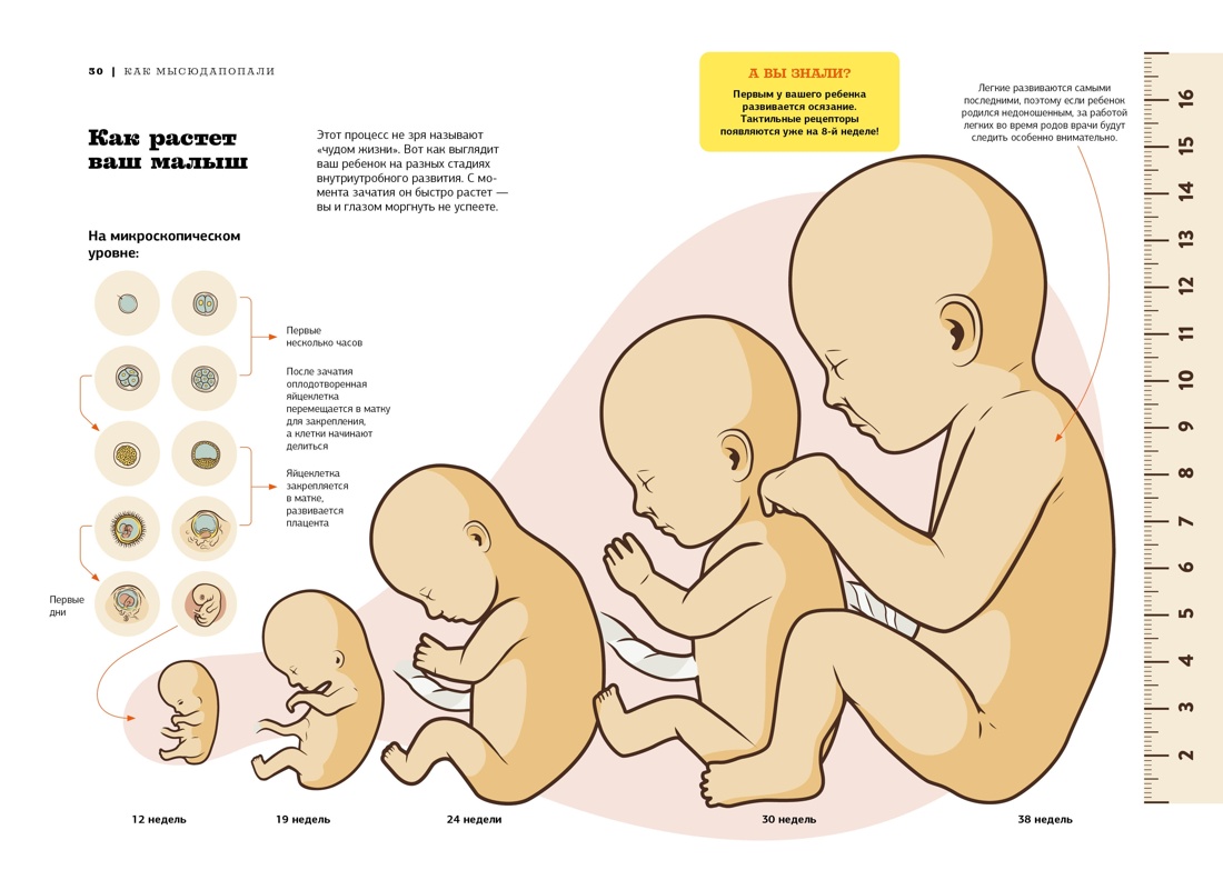 Книга КОЛИБРИ Звездные сек родительства Под дуэт для мам и пап Сб ком в к из 2 х книг - фото 12