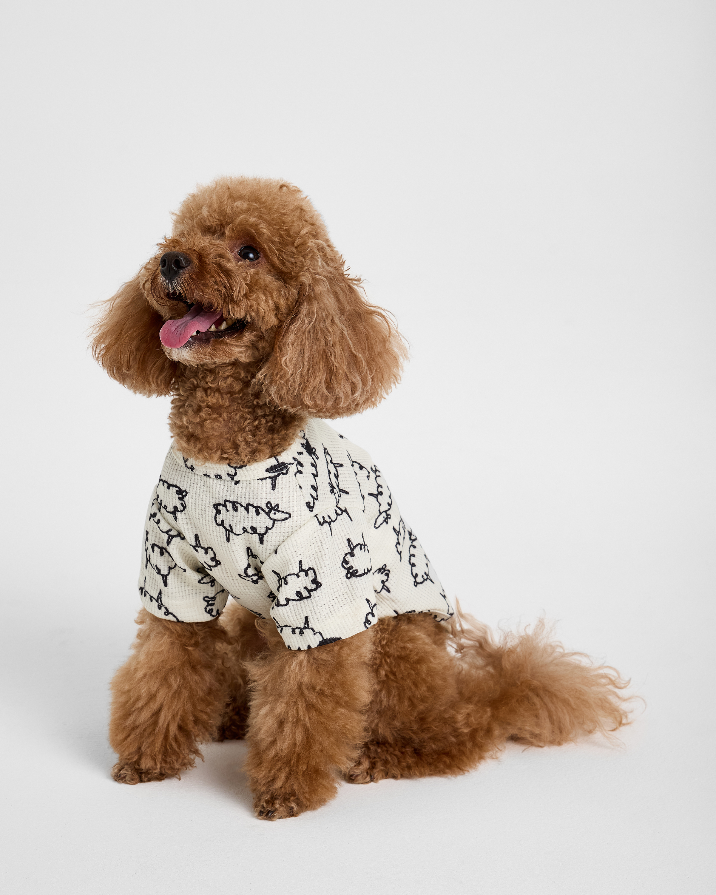 Изображение товара Футболка для собак и кошек Зоозавр XS