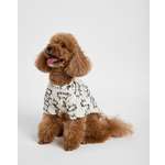 Изображение товара Футболка для собак и кошек Зоозавр: S