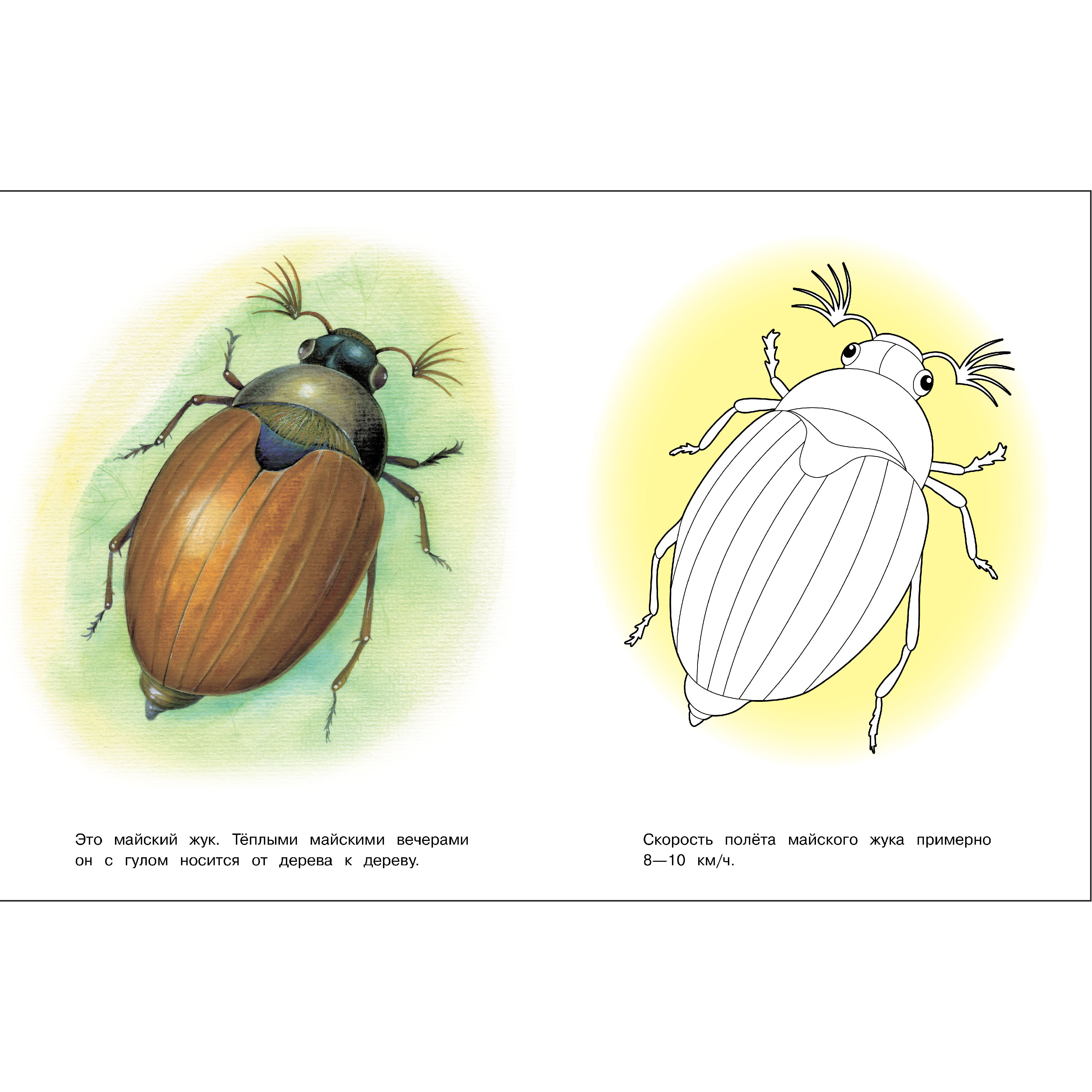 Комплект книг СТРЕКОЗА Раскраски - фото 6