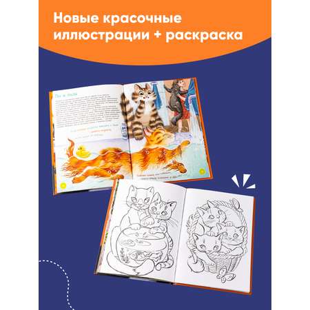 Книга Альпина. Дети Я кот