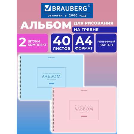 Альбом Brauberg однотонные А4 40 лист. 2 шт.