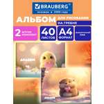 Альбом Brauberg сердечки А4 40 лист. 2 шт.