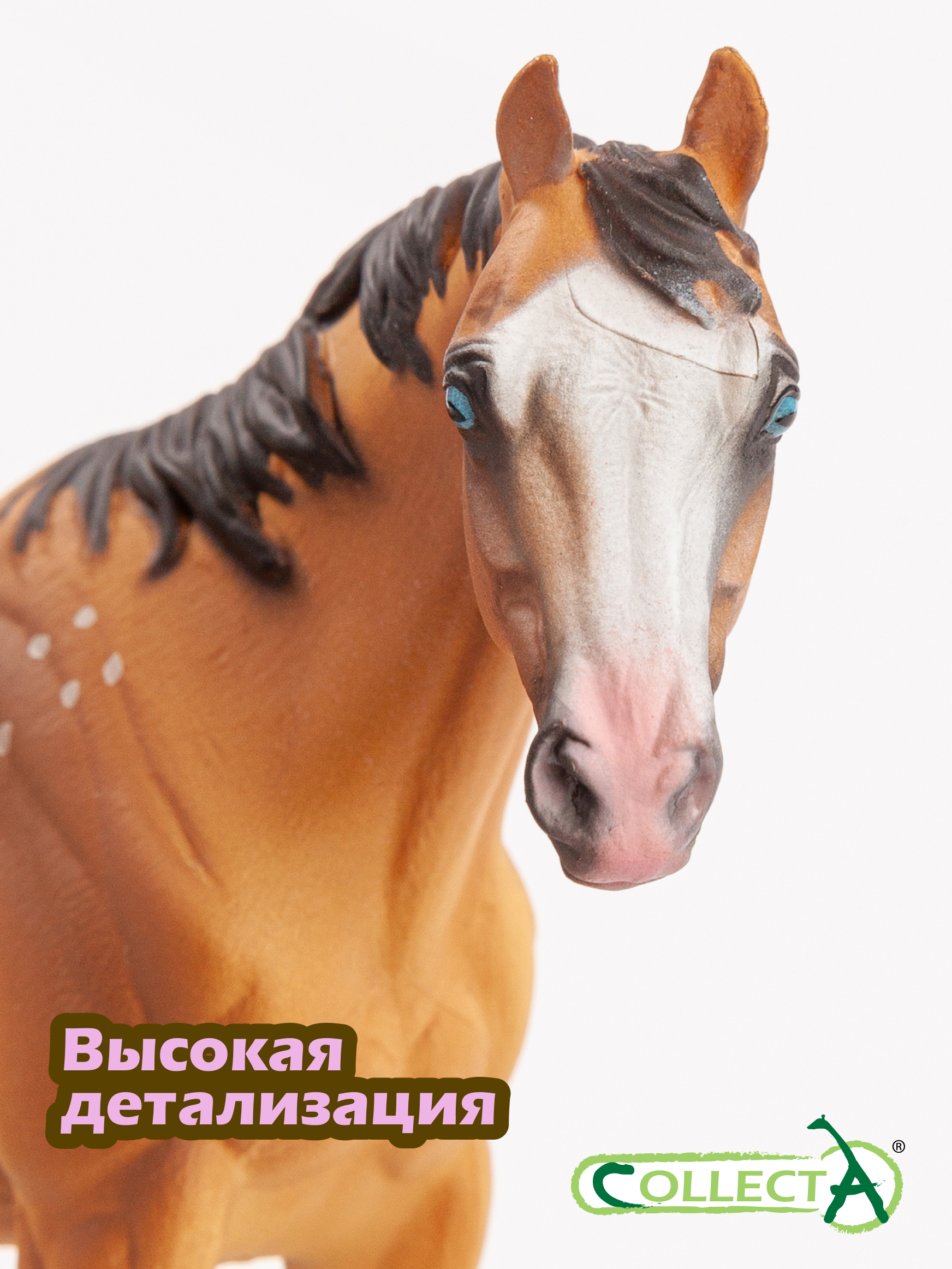 Фигурка Collecta Лошадь жеребец Аппалузы - фото 3
