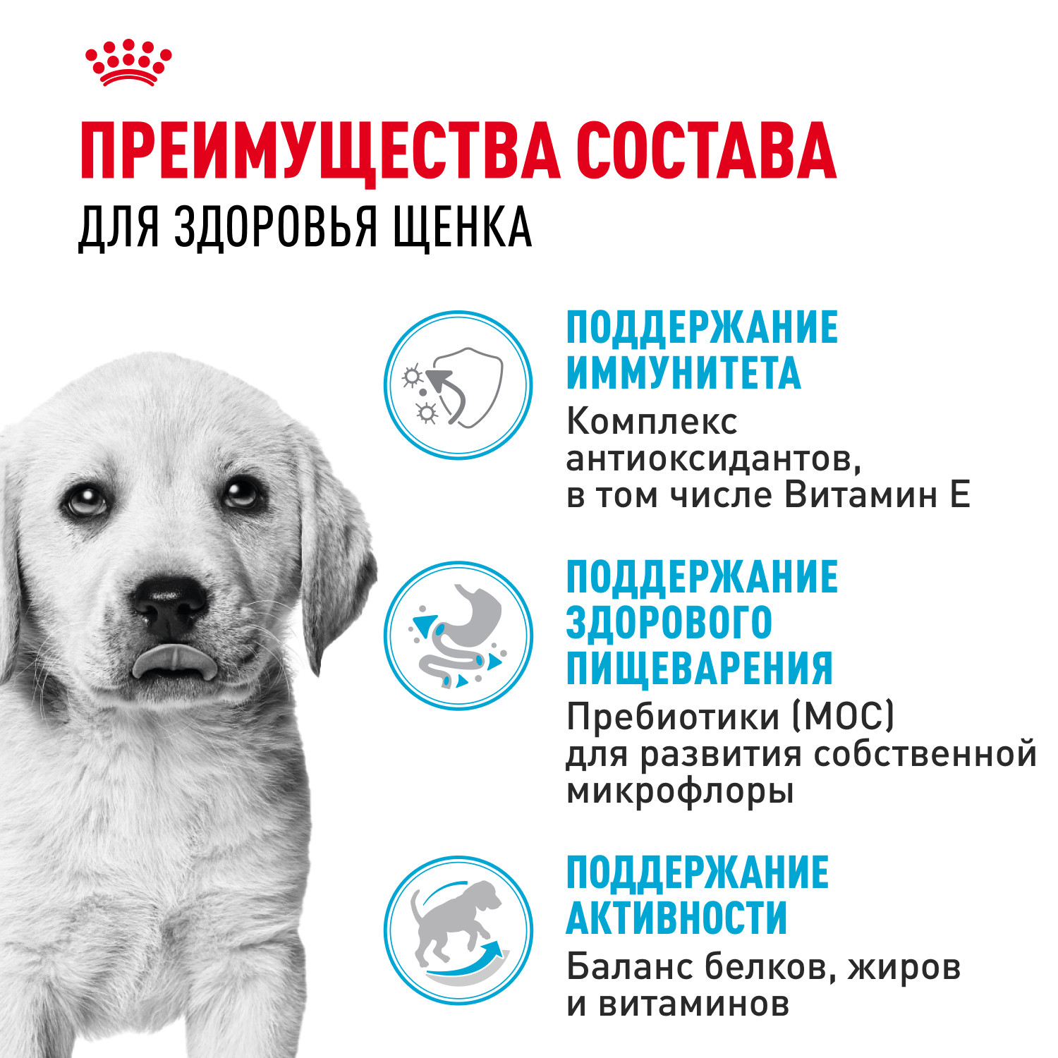 Корм для щенков ROYAL CANIN Labrador Retriever Puppy породы лабрадор ретривер 3кг - фото 3