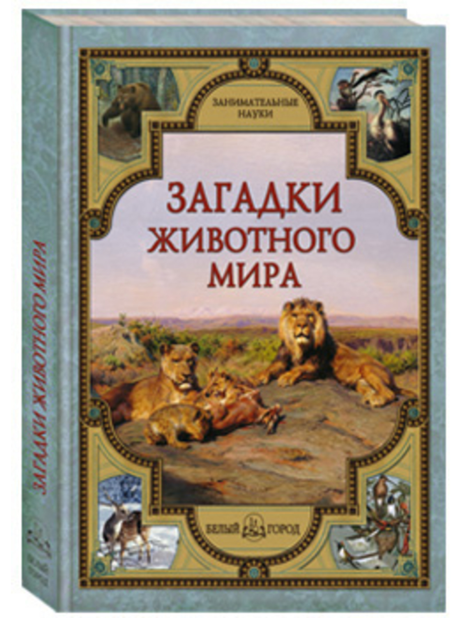 Книга Белый город Загадки животного мира - фото 1