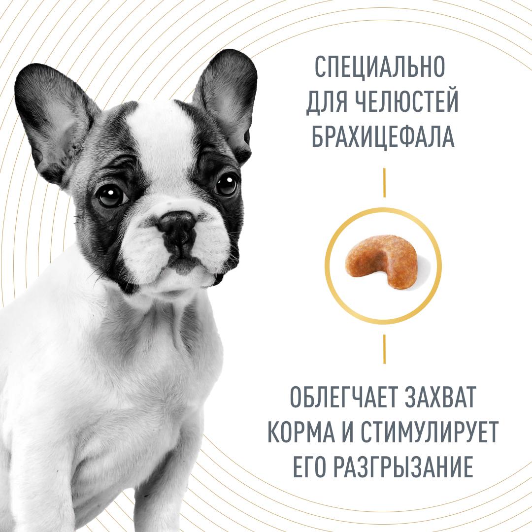 Корм для щенков ROYAL CANIN породы французский бульдог 3кг - фото 3