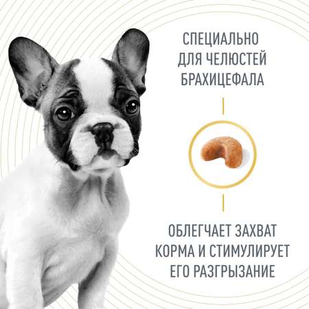 Корм для щенков ROYAL CANIN породы французский бульдог 3кг