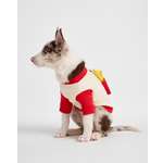 Изображение товара Свитшот для собак и кошек Зоозавр: XS