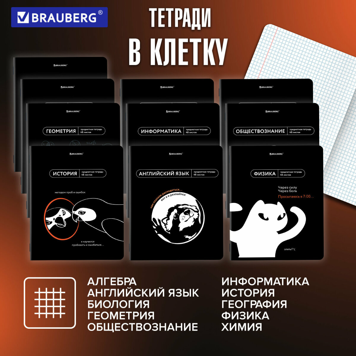 Тетрадь Brauberg 48 лист. 12 шт. - фото 2
