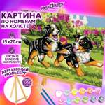Картина по номерам Юнландия Щенки на прогулке