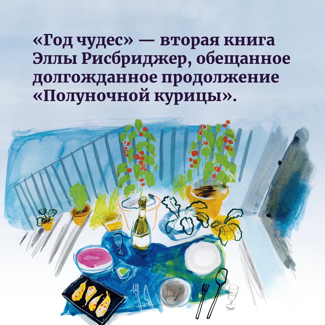 Книга КОЛИБРИ Рисбриджер Э. Год чудес с полуночной курицей Комплект из 2-х книг - фото 4